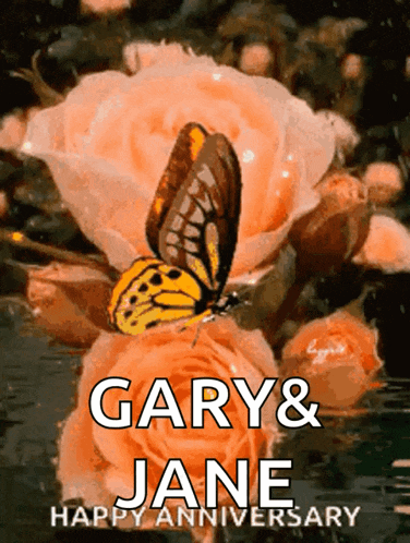a butterfly is sitting on top of a rose with the words gary & jane happy anniversary