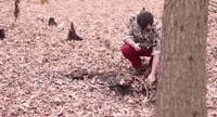 a person is kneeling down in the woods with leaves on the ground and a tree in the foreground .