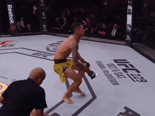 a man in a boxing ring with a sign that says ufc 229