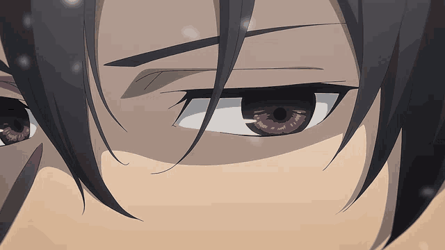 a close up of a person 's eye with a black hair