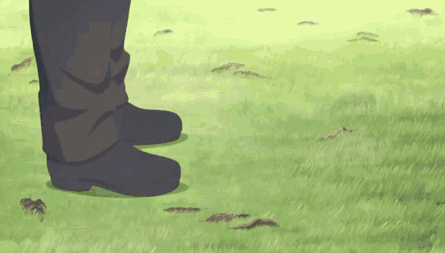 a person standing on a grassy field with a few leaves on the ground