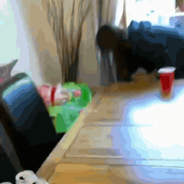 Surprised Shock GIF - Surprised Shock Beer Pong GIFs