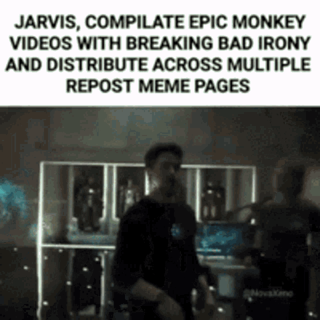 Jarvis Monkey GIF - Jarvis Monkey Jarvismonkey GIFs