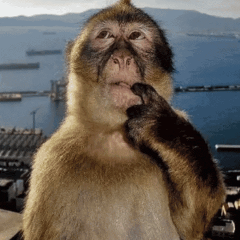 a close up of a monkey thinking with a body of water in the background