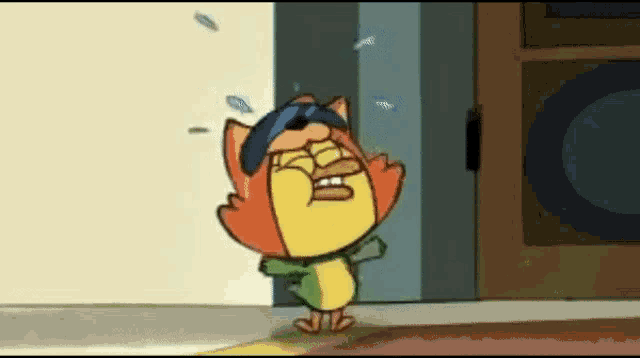 a cartoon cat wearing sunglasses and a hat is crying while standing in front of a door .