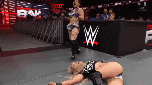 two women are wrestling in front of a wwe banner