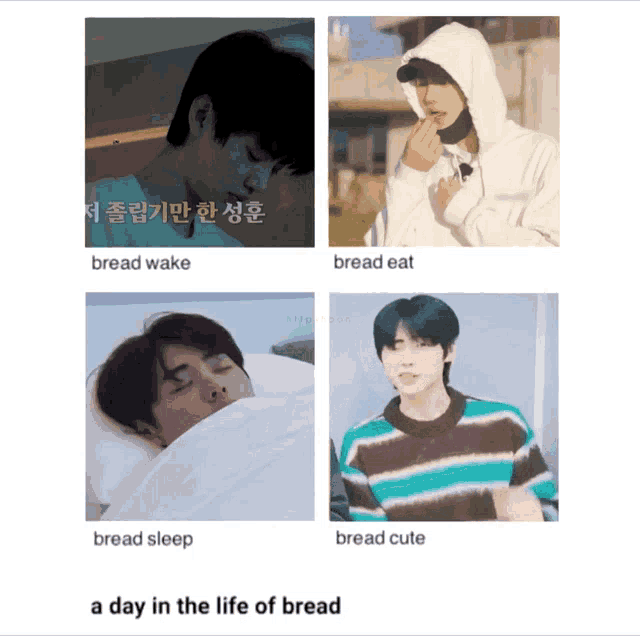 four pictures of a boy with the words bread wake bread eat bread sleep and bread cute below them