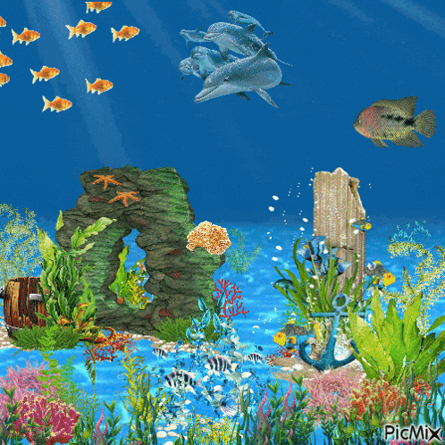 a picture of a coral reef with dolphins swimming in the water