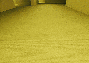 a very long hallway with a yellow carpet