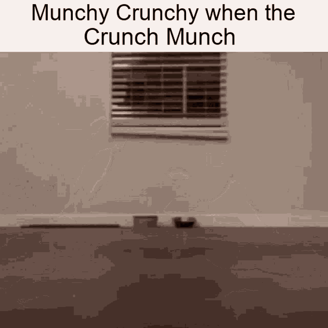 Munch Crunch GIF - Munch Crunch Cat GIFs
