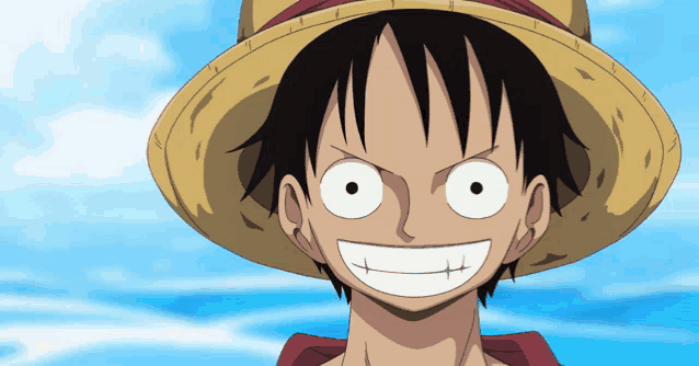 a cartoon character wearing a straw hat is smiling