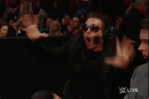 Excited Wwe GIF - Excited Wwe Exitado GIFs
