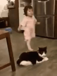 Cat Kid GIF - Cat Kid Falling GIFs