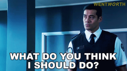What Do You Think I Should Do Will Jackson GIF - What Do You Think I Should Do Will Jackson Wentworth GIFs