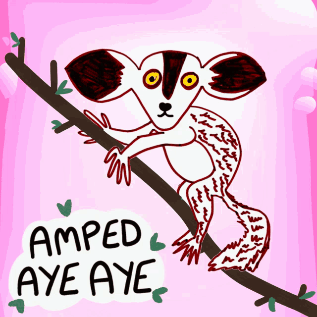 a drawing of a lemur with the words amped aye aye