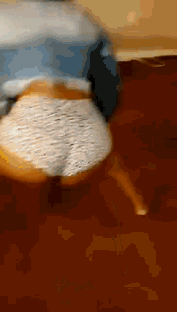 a blurred image of a person 's butt on a red floor