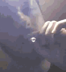 a close up of a person holding another person 's hand in their mouth .