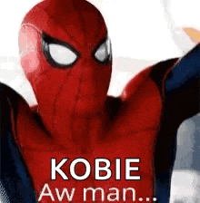 a close up of a spiderman with his arms outstretched .