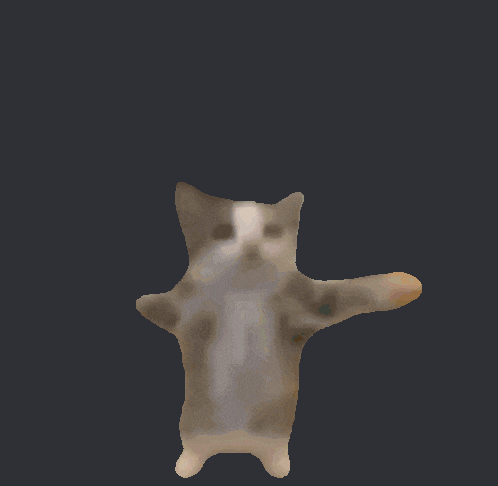 a brown and white cat is standing on its hind legs on a dark background