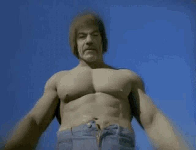 a shirtless man is standing in front of a blue sky .