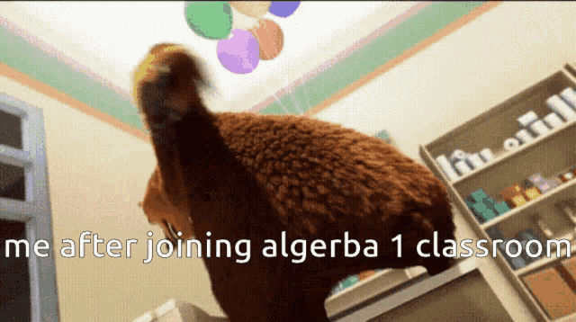 a picture of a stuffed animal with the words " me after joining algebra 1 classroom " below it