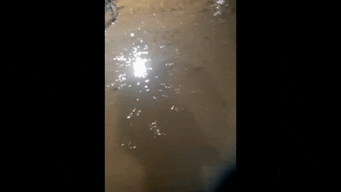 a person is walking down a flooded street with a light shining on the water .