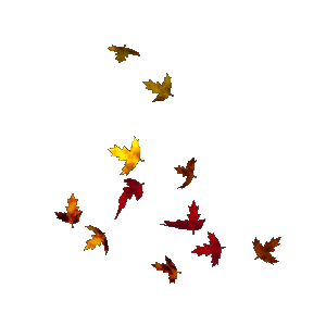 Leaves Blowing In The Wind GIF - Autumn Fall Seasons GIFs