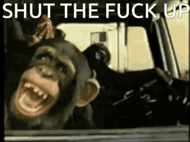 a chimpanzee is sticking its head out of a car window with the caption shut the fuck up