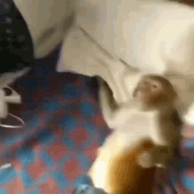 a monkey is laying on a bed with a pillow