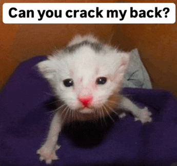 a white kitten with a red nose is laying on a purple blanket with the caption can you crack my back