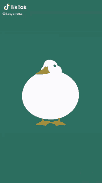 a white duck with a yellow beak is on a green background with tiktok written on the bottom