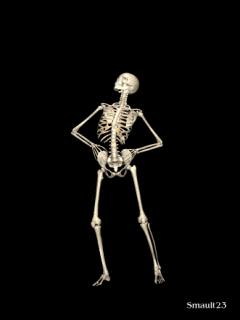 a skeleton is standing with its arms crossed on a black background with smault 2.3 on the bottom