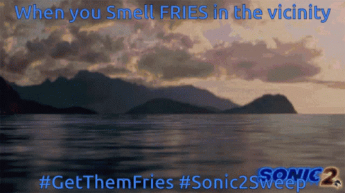 Sonic Sonic2sweep GIF - Sonic Sonic2sweep Sonic The Hedgehog2 GIFs
