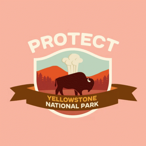 Protect More Parks Camping GIF - Protect More Parks Camping Protect Yellowstone National Park GIFs