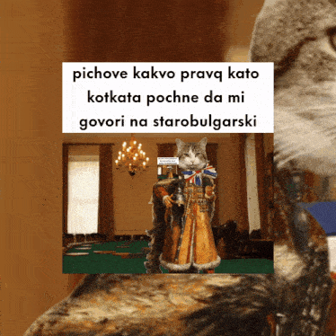 a picture of a cat in a costume with a caption that says pichove kako pravq kato kotkata pochne