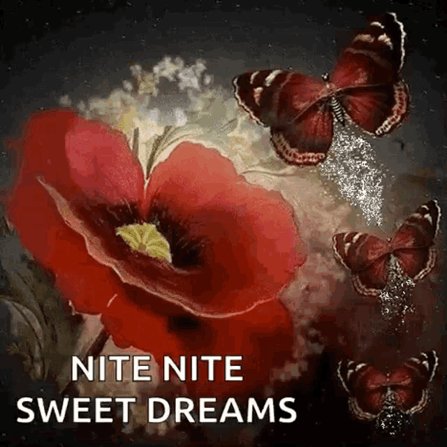 a red flower with three butterflies flying around it and the words `` nite nite sweet dreams '' .