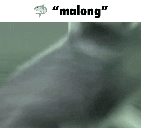 a picture of a shark with the words " malong " above it
