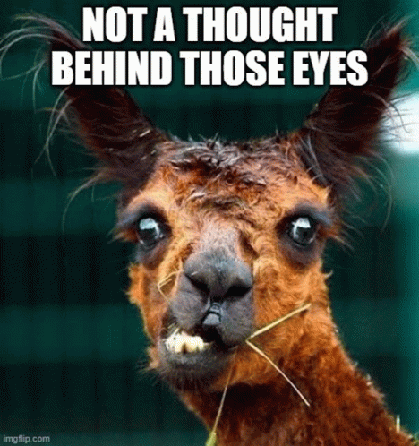 No Thought Not Thought Behind Those Eyes GIF