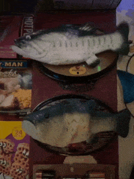 two fish are sitting on a table next to a box that says hotpic