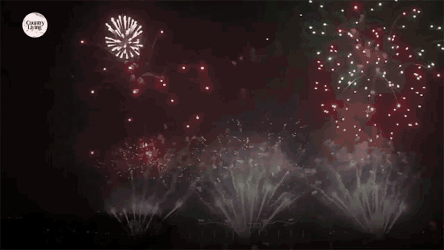 fireworks are displayed in the night sky with a liberty logo in the upper right corner