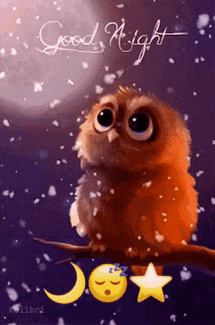 a cartoon owl is sitting on a branch with the words good night written above it