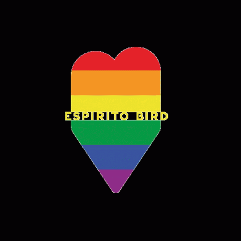Espirito Bird Rainbow GIF - Espirito Bird Rainbow Colorful GIFs