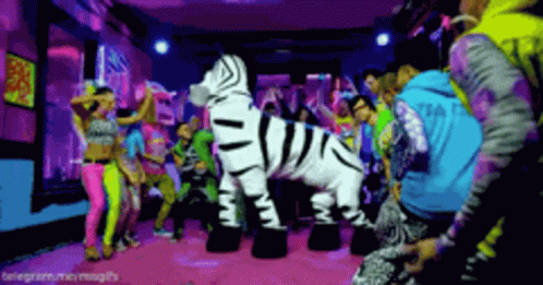 Party Zebra GIF - Party Zebra Anthem GIFs