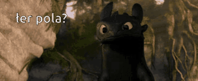 a picture of toothless from how to train your dragon with the words ter pola on the bottom