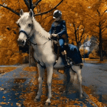 a woman is riding a white horse on a road