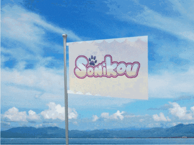 a flag with the word sonikou on it is flying in the wind