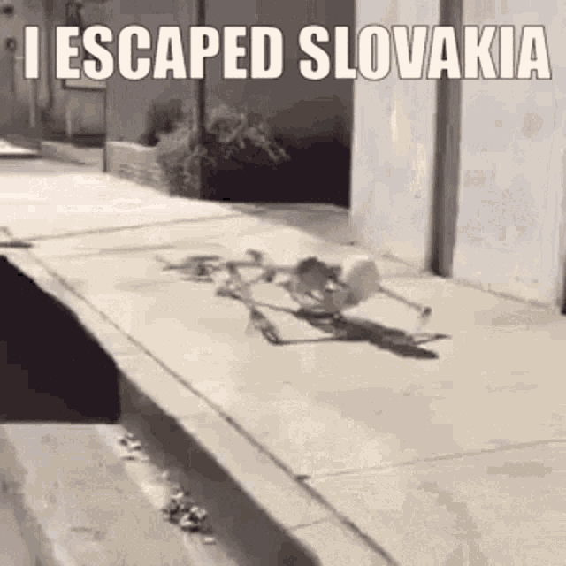 Slovakia Hunger GIF - Slovakia Hunger I Escaped GIFs