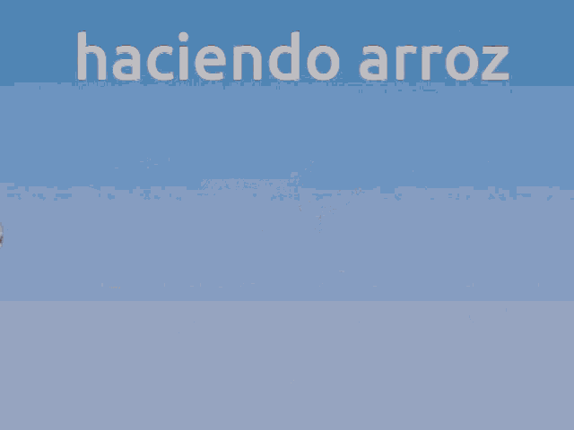 a picture of a girl with the words haciendo arroz written above it