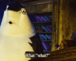 a cartoon character says " what what " in front of a shelf full of books