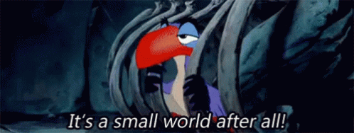 The Lion King Small GIF - The Lion King Small World GIFs